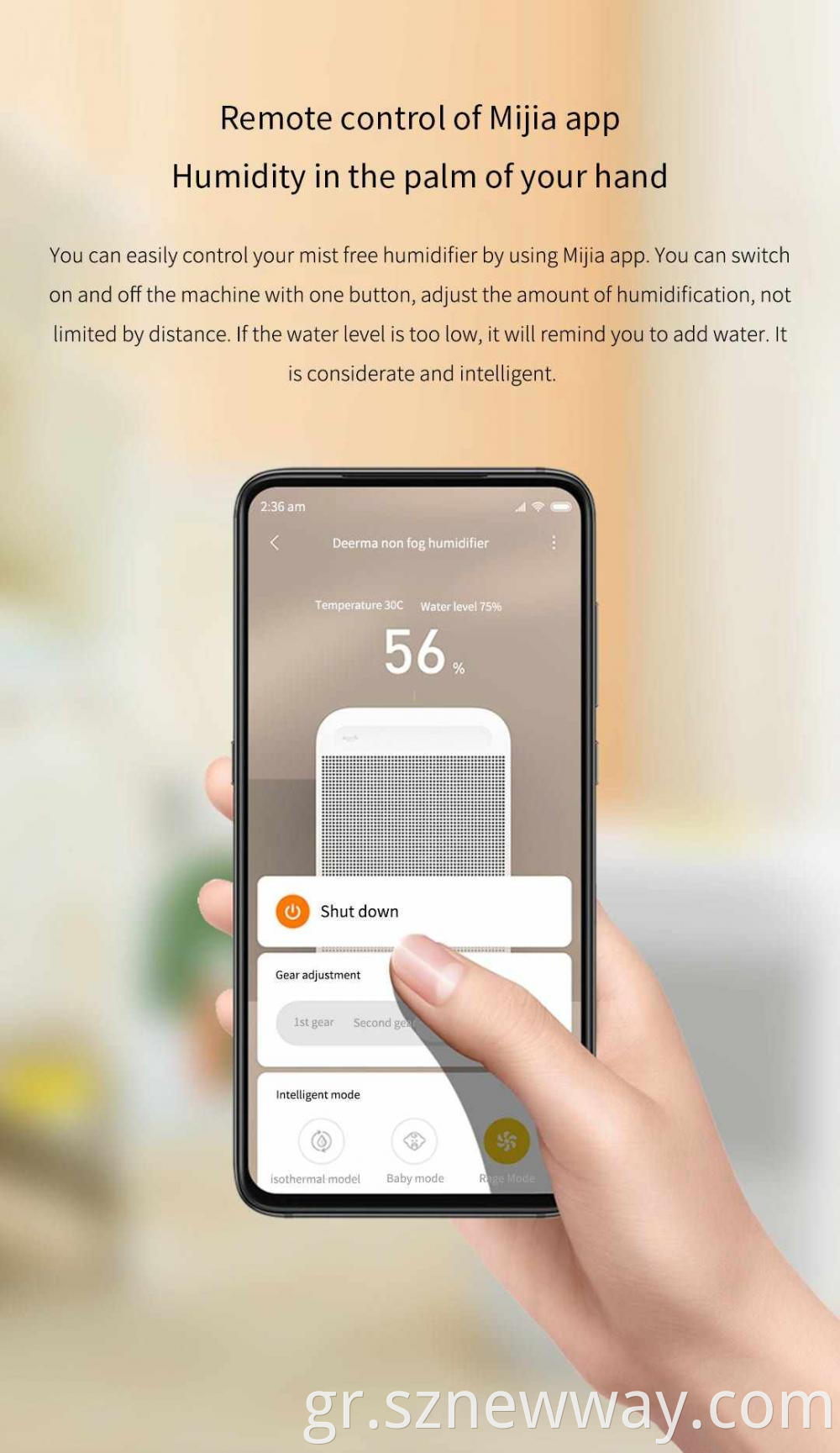 Xiaomi Deerma Humidifier